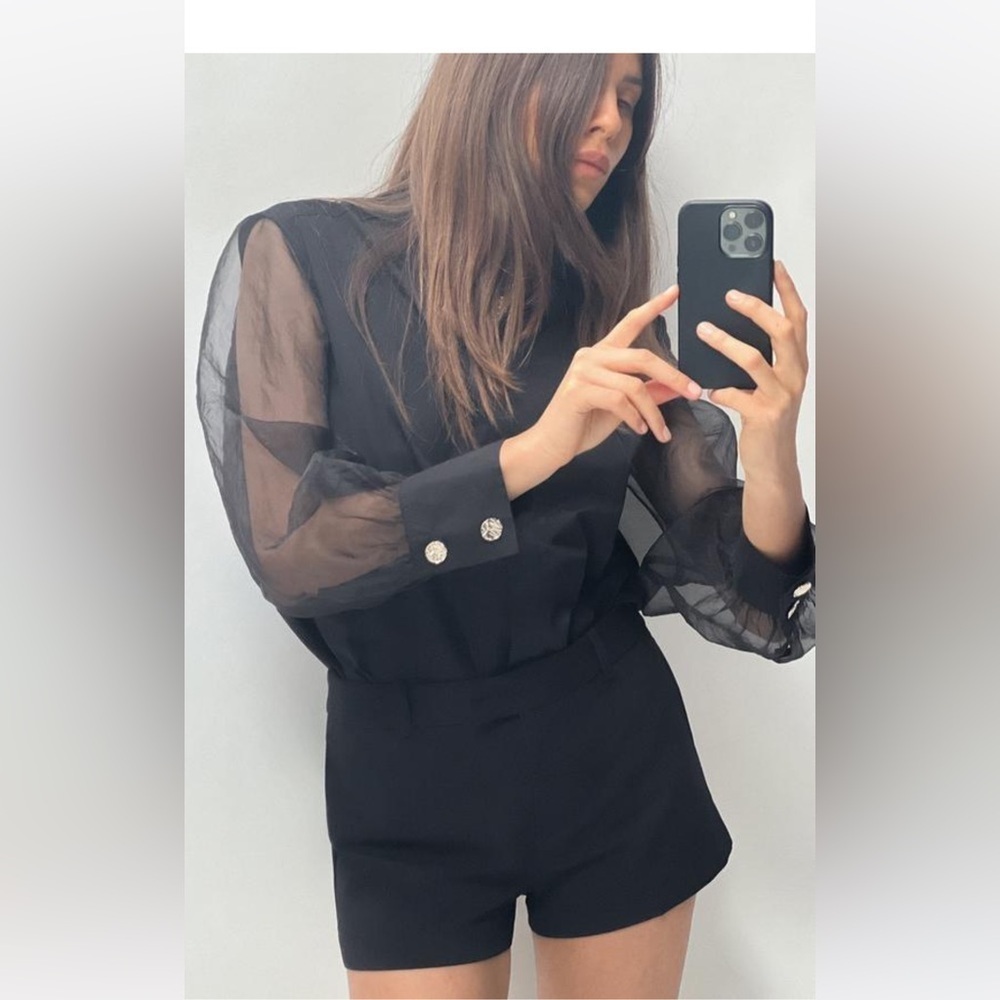 Zara Black Sheer Puff Sleeve Blouse